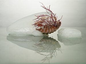Fotografía de Concha