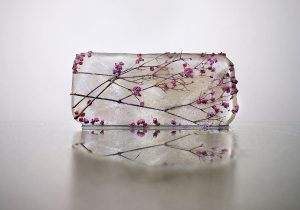 Fotografía de flores, rosa, horizontal, hielo 