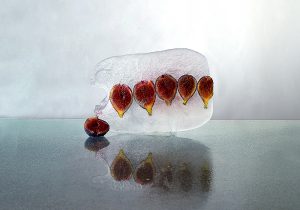 Fotografía de higos,rojos, granate,horizontal, hielo
