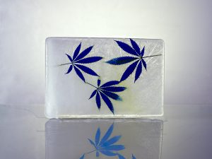 Fotografía hoja de maria, azul, creación, hielo, agua, horizontal