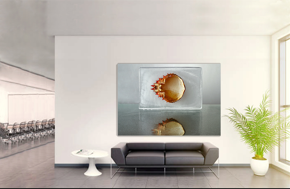"Hydrogenesis" Cangrejo 2