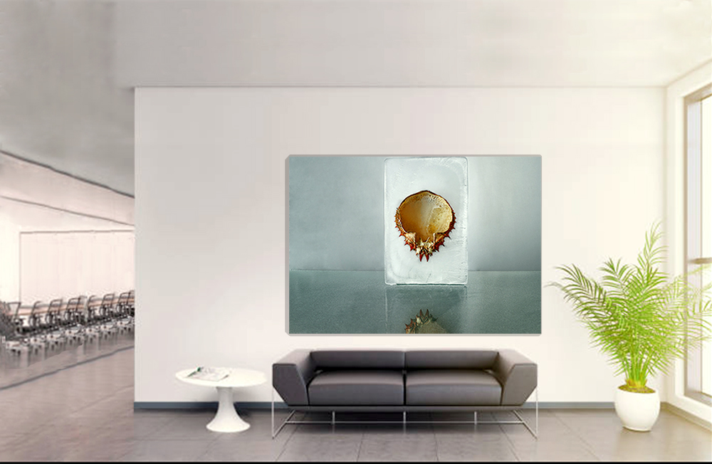 "Hydrogenesis " Cangrejo 2