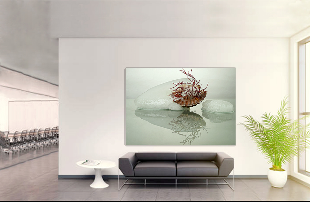 "Hydrogenesis " Concha 2