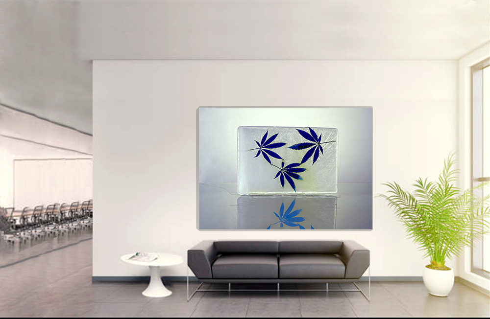 "Hydrogenesis "Hojas Azules 2