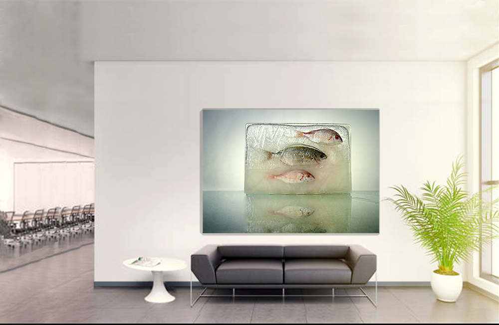 "Hydrogenesis " Peces 2