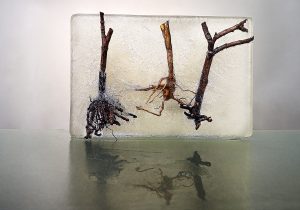 Fotografía de Ramas,marrón,hielo, agua, horizontal