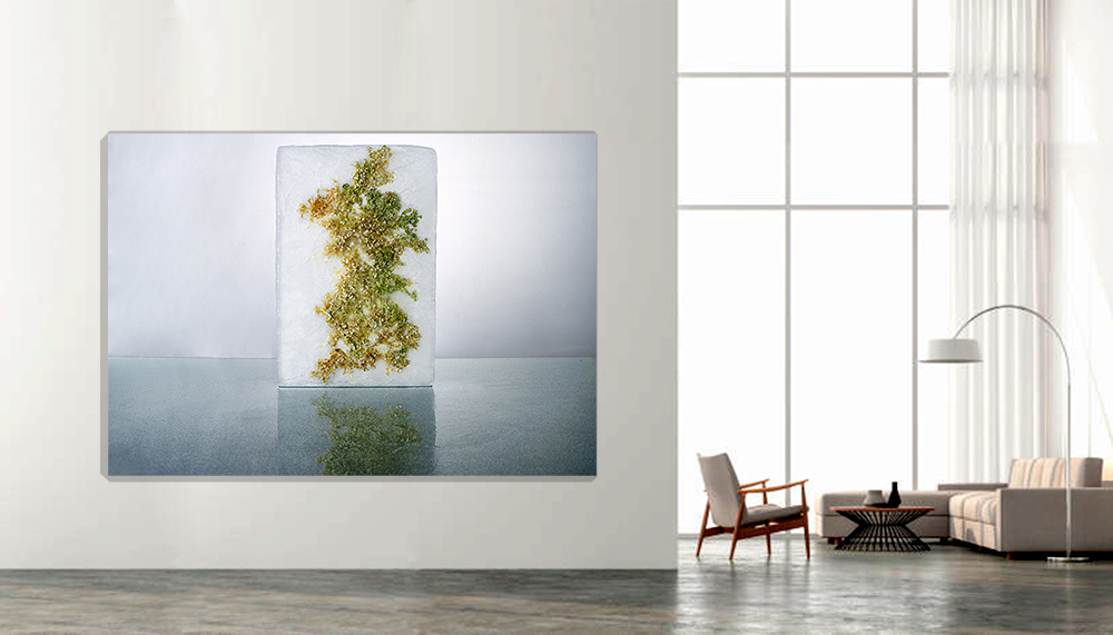 "Hydrogenesis" Algas 3
