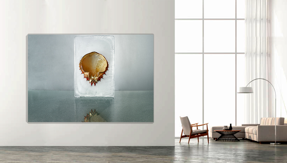 "Hydrogenesis " Cangrejo 3