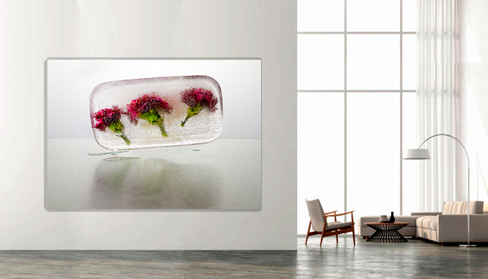 "Hydrogenesis " Claveles 3