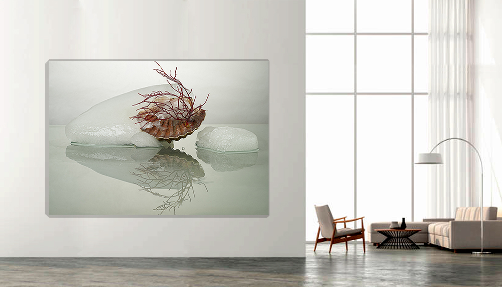 "Hydrogenesis " Concha 3
