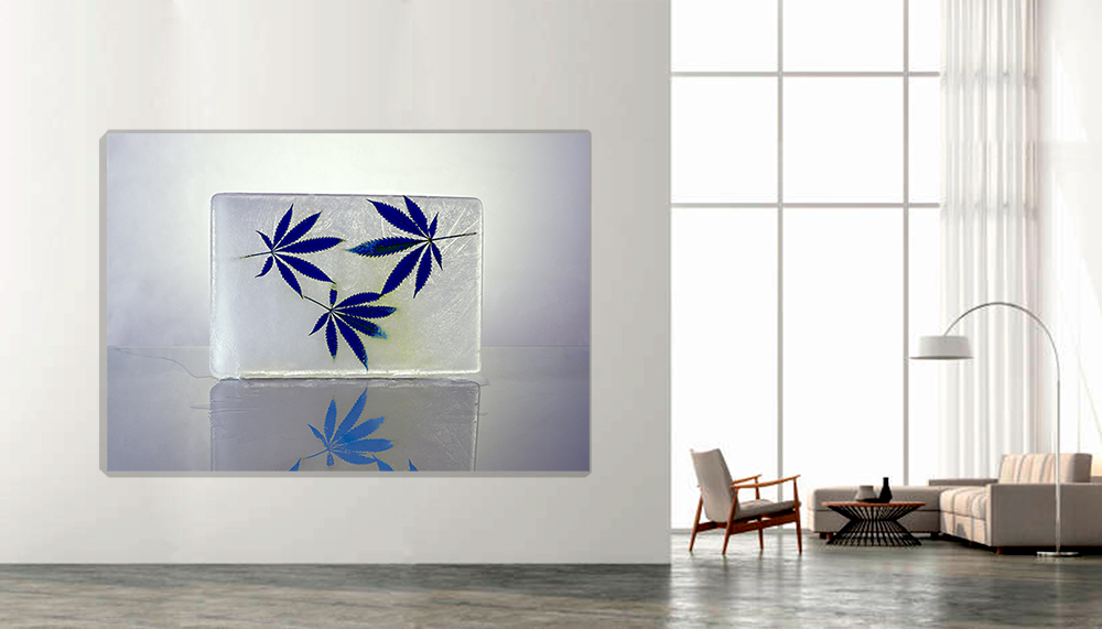 "Hydrogenesis "Hojas Azules 3