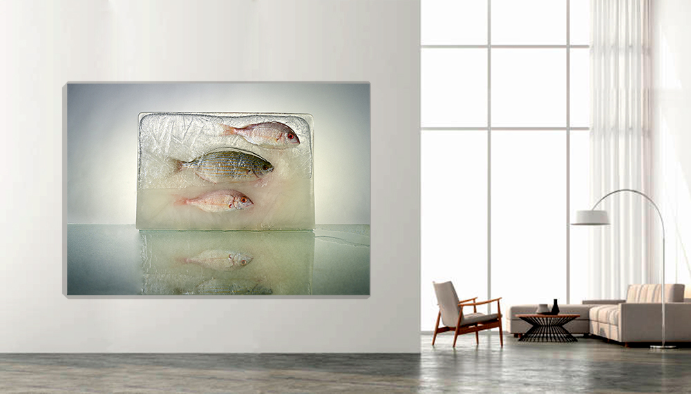 "Hydrogenesis " Peces 3