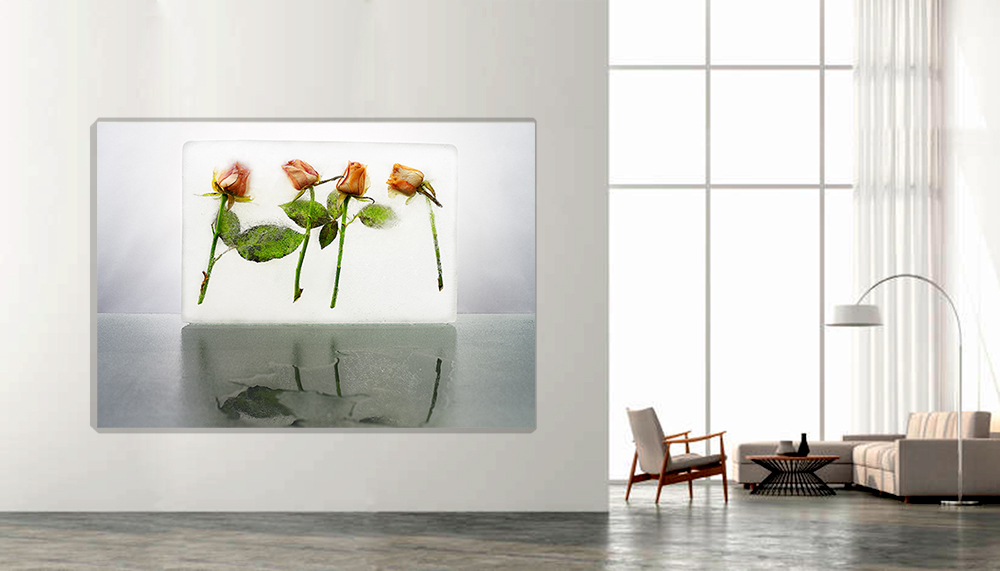 "Hydrogenesis " Rosas 3