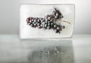 Fotografía de uvas-1, negras, rojos, granate, hielo, agua, horizontal, hielo, agua