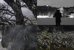 Montaje de cuatro Fotografías, creaciones, negro, naturaleza, horizontal