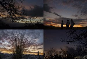 Montaje de cuatro Fotografías, creaciones, negro, naturaleza, horizontal