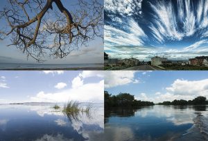 Montaje de cuatro Fotografías, creaciones, azul, naturaleza, horizontal