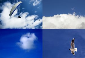 Montaje de cuatro Fotografías, creaciones, azul, naturaleza, horizontal
