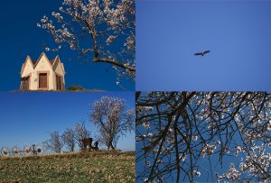 Montaje de cuatro Fotografías, creaciones, azul, naturaleza, horizontal