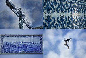 Montaje de cuatro Fotografías, creaciones, azul, naturaleza, horizontal