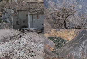 Montaje de cuatro Fotografías, creaciones, marrones, naturaleza, horizontal