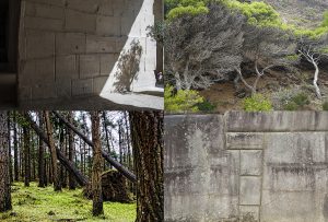 Montaje de cuatro Fotografías, creaciones, marrones, naturaleza, horizontal