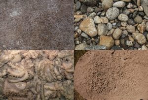 Montaje de cuatro Fotografías, creaciones, amarillos, naturaleza, horizontal