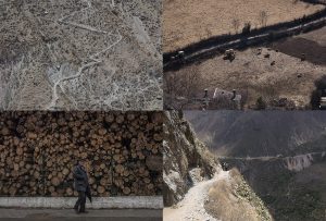 Montaje de cuatro Fotografías, creaciones, marrones, naturaleza, horizontal