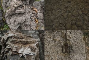 Montaje de cuatro Fotografías, creaciones, marrones, naturaleza, horizontal