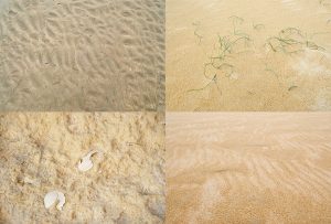 Montaje de cuatro Fotografías, creaciones, amarillos, naturaleza, horizontal