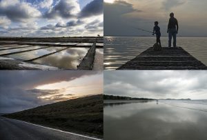 Montaje de cuatro Fotografías, creaciones, blanco, naturaleza, horizontal