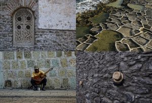 Montaje de cuatro Fotografías, creaciones, blanco, naturaleza, horizontal
