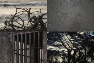 Montaje de cuatro Fotografías, creaciones, blanco, naturaleza, horizontal
