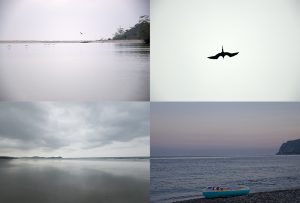 Montaje de cuatro Fotografías, creaciones, blanco, naturaleza, horizontal