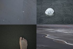 Montaje de cuatro Fotografías, creaciones, blanco, naturaleza, horizontal