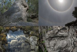 Montaje de cuatro Fotografías, creaciones, blanco, naturaleza, horizontal