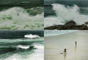 Montaje de cuatro Fotografías, creaciones, verde, naturaleza, horizontal