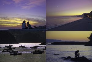 Montaje de cuatro Fotografías, creaciones, blanco, naturaleza, horizontal