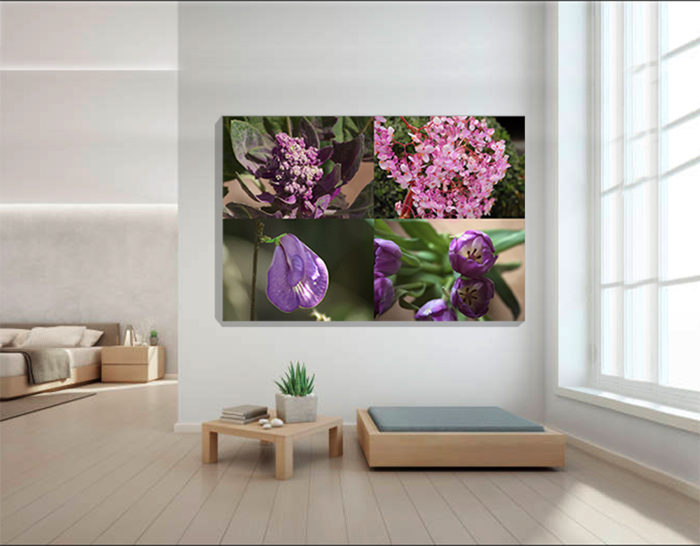 Colores del Mundo-Lilas 2