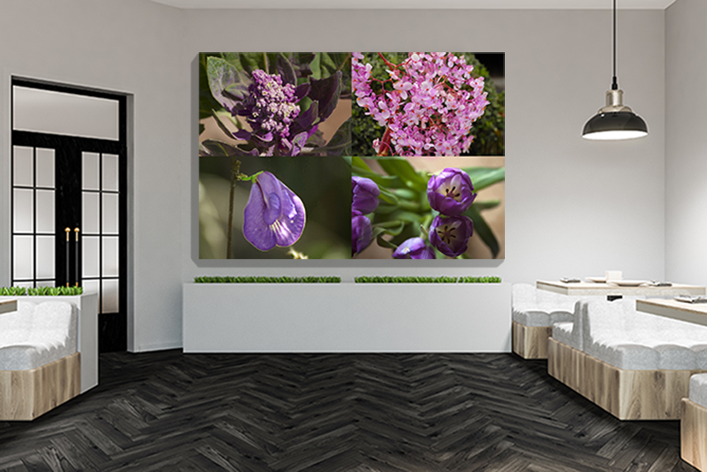 Colores del Mundo-Lilas 3
