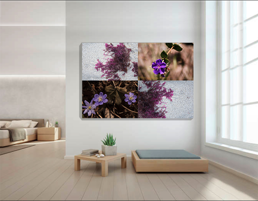 Colores del Mundo-Lilas 2