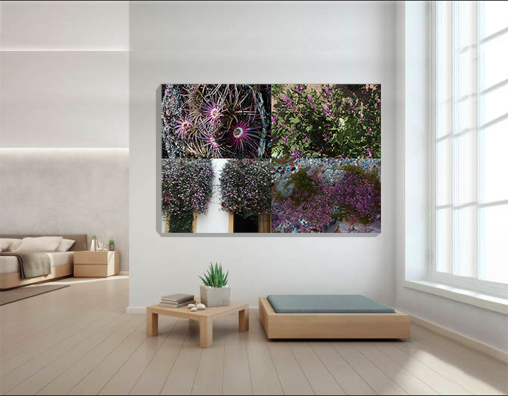 Colores del Mundo-Lilas 2