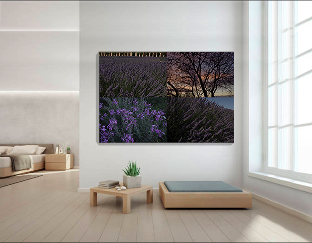 Colores del Mundo-Lilas 2
