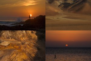 Montaje de cuatro Fotografías, creaciones, naranja, naturaleza, horizontal