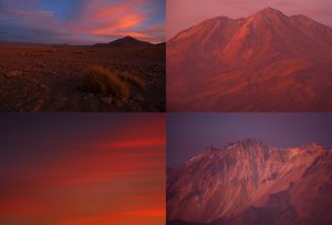 Montaje de cuatro Fotografías, creaciones, naranja, naturaleza, horizontal