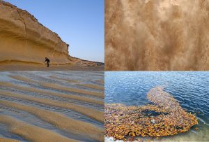 Montaje de cuatro Fotografías, creaciones, naranja, naturaleza, horizontal