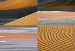 Montaje de cuatro Fotografías, creaciones, naranja, naturaleza, horizontal
