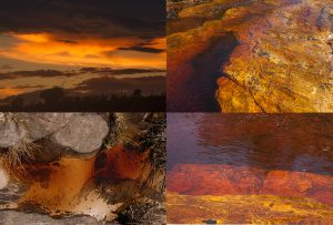 Montaje de cuatro Fotografías, creaciones, naranja, naturaleza, horizontal