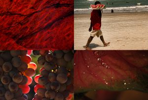 Montaje de cuatro Fotografías, creaciones, rojo, naturaleza, horizontal