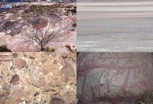 Montaje de cuatro Fotografías, creaciones, rosa, naturaleza, horizontal